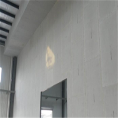 浑源宁波ALC板|EPS加气板隔墙与混凝土整浇联接的实验研讨